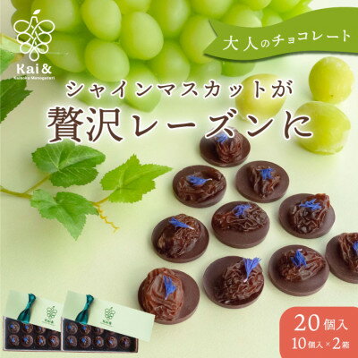 【ふるさと納税】山梨県産シャインマスカット使用 大粒レーズンのチョコレート マンディアン 10個入り×2箱【配送不可地域：離島】【1719164】