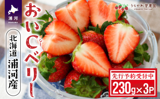 
            【先行予約受付中】北海道浦河産いちご「おいCベリー」230g×3P[13-1127]
          