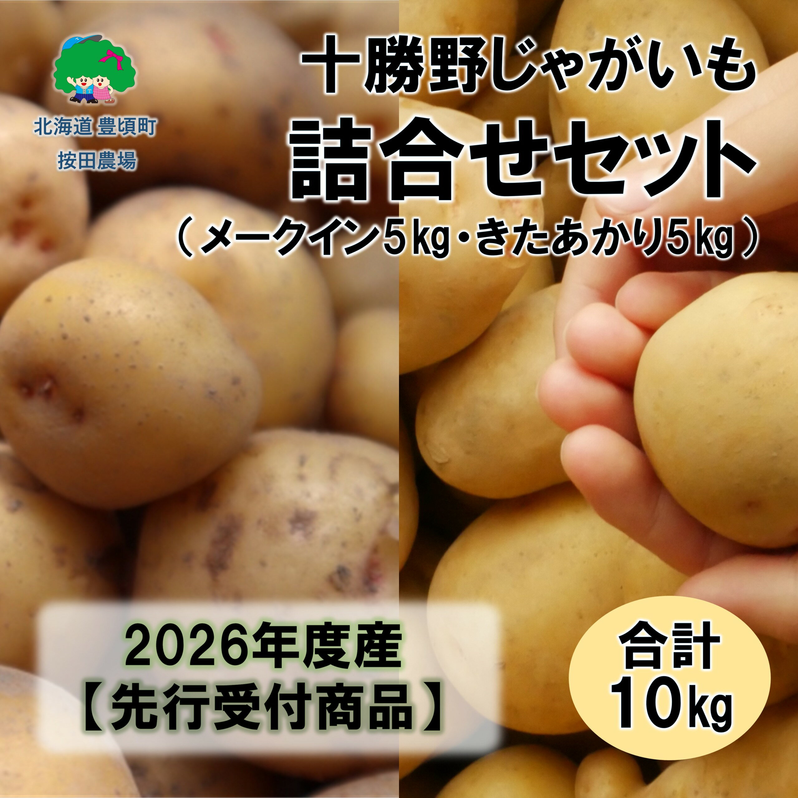 【ふるさと納税】十勝野じゃがいも詰合せセット10kg（きたあかり・メークイン）【2026年秋出荷】（先行受付）［按田農場］"北海道 十勝 豊頃町" 先行予約 予約 特産 農家直送 数量限定 送料無料