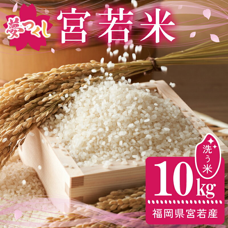 【ふるさと納税】令和7年産 夢つくし 精米 10kg [M895-1] ごはん コメ ご飯 精米 白米 ブランド米