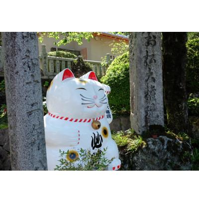 ふるさと納税 阿南市 自家焙煎コーヒー60g×1 (豆) + 120g×1 (豆) +  無添加カフェオレベース加糖×1本 |  | 03