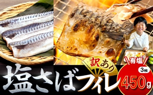 訳あり 塩サバ 約450g 3枚 冷凍 鯖 塩 さば 魚 さかな 海鮮 海産物 おかず サバ 鯖ご飯 おすすめ 人気 さば サバ  鯖 魚 魚介 海鮮 惣菜 塩サバ 塩鯖 焼き鯖 サバ 焼きさば 焼さば 減塩  塩 鯖 さば サバ ギフト おすすめ 人気 ふるさと納税 鯖 サバ さば ふるさと納税さば 愛知県南知多町 南知多 愛知県 愛知県産サバ さば 鯖 南知多町産サバ さば 鯖 塩さば