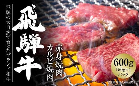 飛騨牛 厳選2種盛 600ｇ（赤身焼肉・カルビ焼肉）小分け 冷凍真空パック【飛騨高山ミートMZ008】