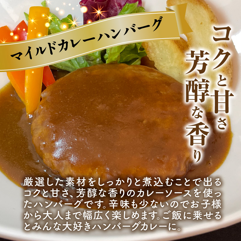 ハンバーグ食べ比べ4種20個セット（デミグラス・トマト・カレー・カルボナーラ） KP9506
