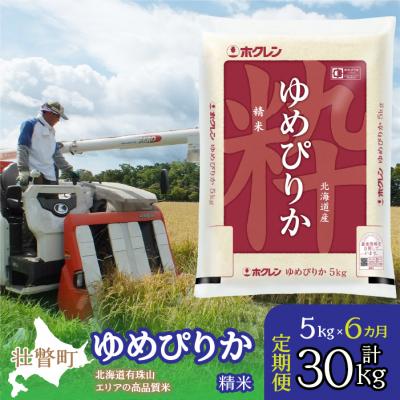 ふるさと納税 壮瞥町 【令和7年産】【 6ヶ月定期配送】(精米5kg)ホクレンゆめぴりか  SBTD036