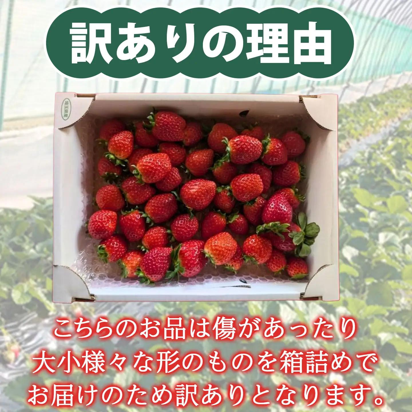 【先行受付】【訳あり】いちご あまりん サイズミックス １㎏以上【潰れが気にならない方限定】苺 あまりん