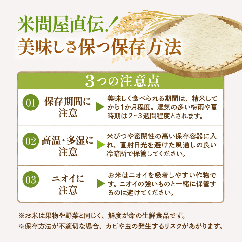 【令和7年産米】※2026年9月後半発送※ はえぬき25kg 山形県 東根市産 深瀬商店提供 hi053-064-093 2026年9月後半発送