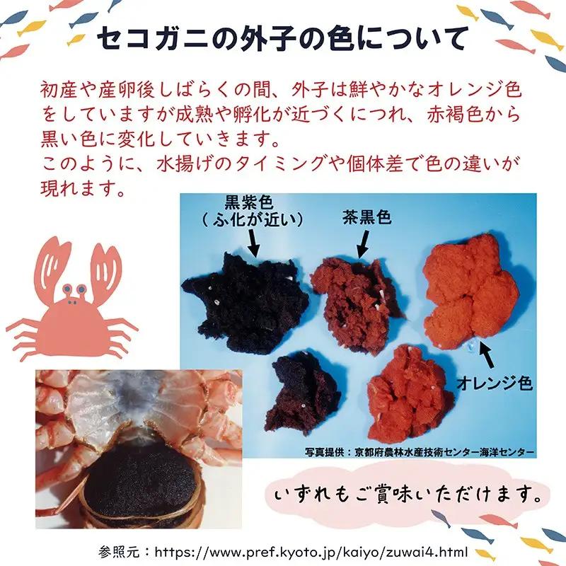 セイコガニ甲羅盛Sサイズ　2個セット カニ 蟹 カニ