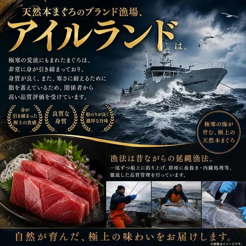 本まぐろ 中トロ 天然 300g まぐろ