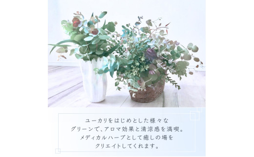 ＼アロマ効果抜群／  ユーカリとアカシア(ミモザ)のアレンジ〈なかやFarm 和歌山県 紀美野町〉/  オージープランツ 癒し 清涼感 植物 花瓶 ユーカリ アカシア ミモザ ハーブ プレゼント ギフ