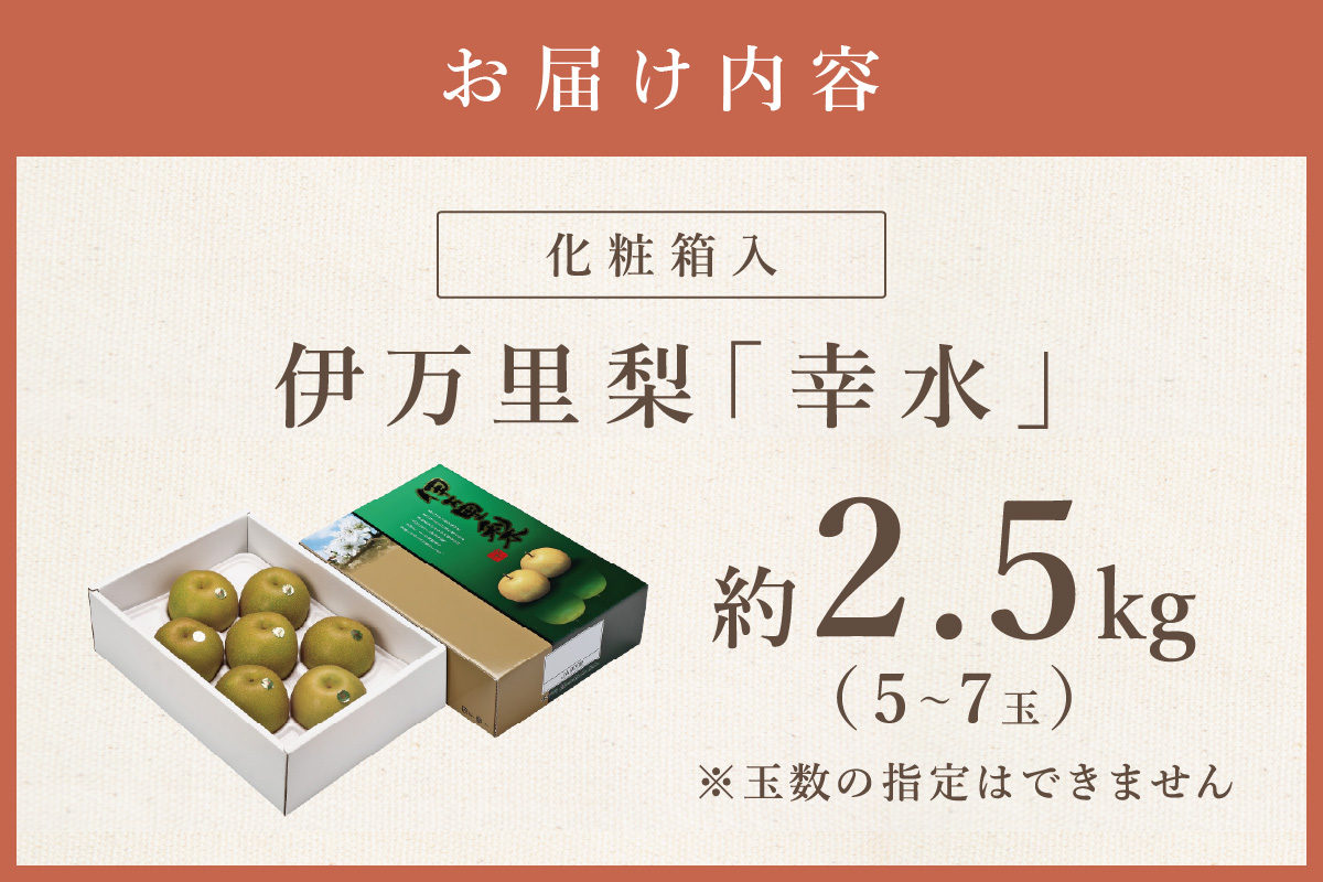 【2026年産先行予約】伊万里梨「幸水」化粧箱入 約2.5kg 178-B159