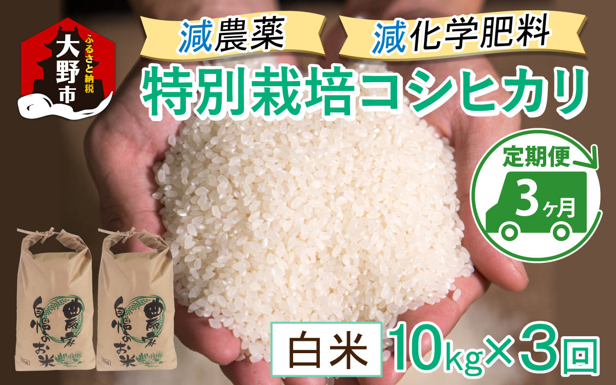 
                  【先行予約】【令和8年産 新米】【3ヶ月定期便】減農薬・減化学肥料の特別栽培コシヒカリ 白米 10kg（5kg×2袋）×3回 計30kg農家直送 福井県大野市産
                