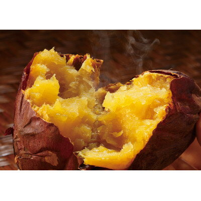 【ふるさと納税】生まれも育ちも掛川産 紅はるか 冷凍焼き芋セット 500g×3袋【配送不可地域：離島・北海道・沖縄県・四国・九州】【1624952】
