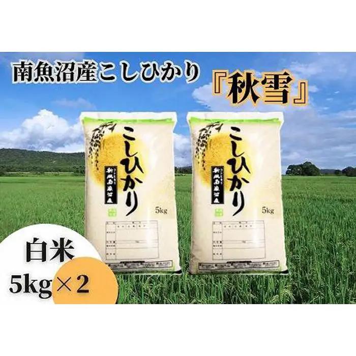【令和8年 新米予約 全６回定期便】南魚沼産コシヒカリ「秋雪」白米10kg（5kg×2袋）×6回 新潟県の特A地区南魚沼市の美味しいお米【2026年10月上旬より1ヶ月以内に順次発送予定】｜コシヒカリ