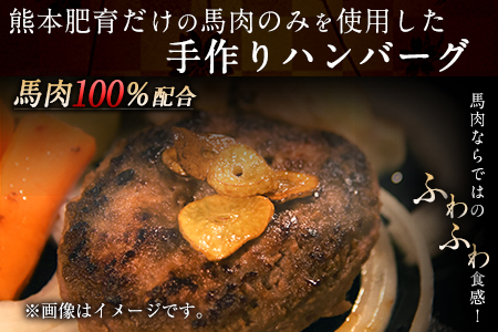 手作りハン馬ーグ 100g×10個 馬肉100%配合！【熊本肥育】ハンバーグ たっぷり 冷凍 お中元 肉 お手軽 お取り寄せ《30日以内に出荷予定(土日祝除く)》｜人気ハンバーグ 大人気返礼品 ブラン