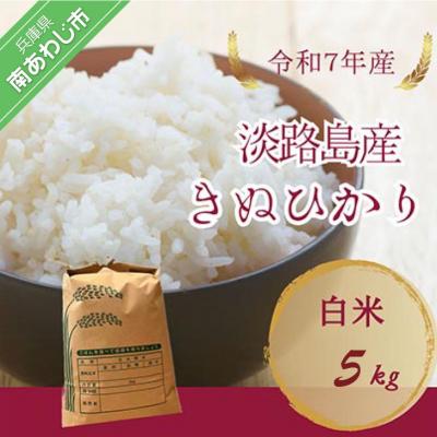 ふるさと納税 南あわじ市 令和7年産　淡路島産キヌヒカリ　白米5kg