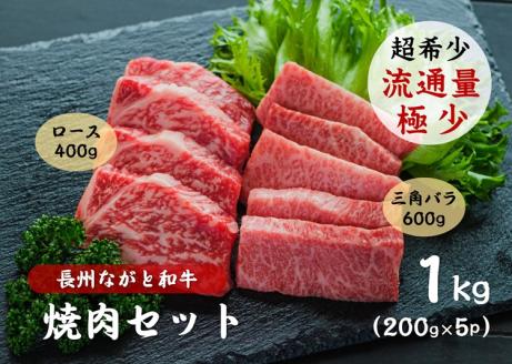 長州ながと和牛「三角バラ焼き肉用・ロース焼肉用」600g(200g×3パック)＋400g(200g×2パック) 合計1ｋｇ【牛肉 肉 お肉 焼き肉 焼肉 焼肉用 小分け 希少 ギフト 贈り物 和牛 牛 ながと和牛 長門市】(1406)