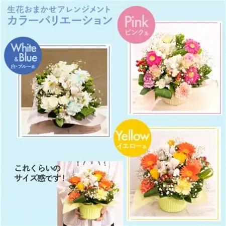 生花お任せアレンジメントM 白・ブルー系 お祝いやお誕生日におすすめ【配送不可地域：離島・沖縄県】【1636501】