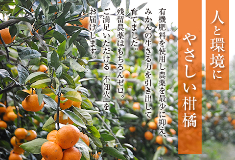 訳あり 不知火 計4kg 傷み補償分付き 期間限定 数量限定 フルーツ 果物 くだもの しらぬい 国産 食品 デザート おやつ フルーツサンド おすすめ ご褒美 産地直送 みかん 柑橘 ジュース おす
