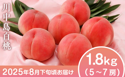 
            長野市産 川中島白桃1.8kg(5～7個) J1161 
          