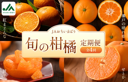 ＪＡおちいまばり柑橘定期便（４回コース）＜紅まどんな／瀬戸の晴れ姫／甘平／せとか＞