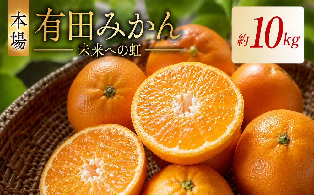 2.有田みかん「未来への虹」（10kg）