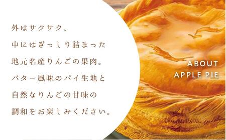 お菓子 焼菓子 アップルパイ 5号 ( 約15cm ) 1台 信州 立田屋
