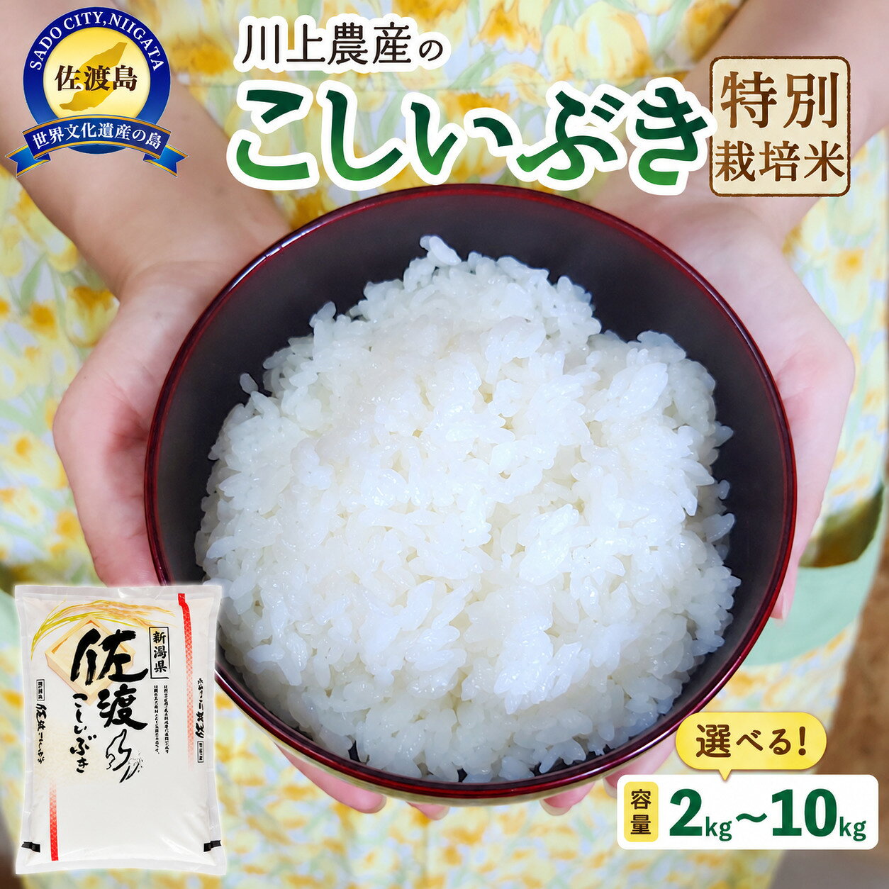 【ふるさと納税】【選べる】米 こしいぶき 2kg〜10kg 令和7年産 佐渡産 川上農産 あっさり 冷めても硬くなりにくい お弁当 おにぎり 新潟県 佐渡市