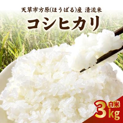 ふるさと納税 天草市 天草市方原産　白米(コシヒカリ)3キロ【先行受付】_S150-002