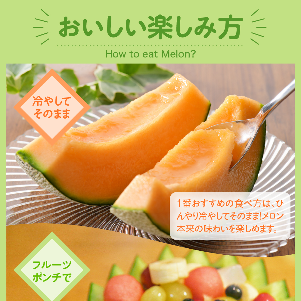 【2026年8月中旬発送】メロン2玉入り 大玉 贈答規格 青森メロン 津軽産