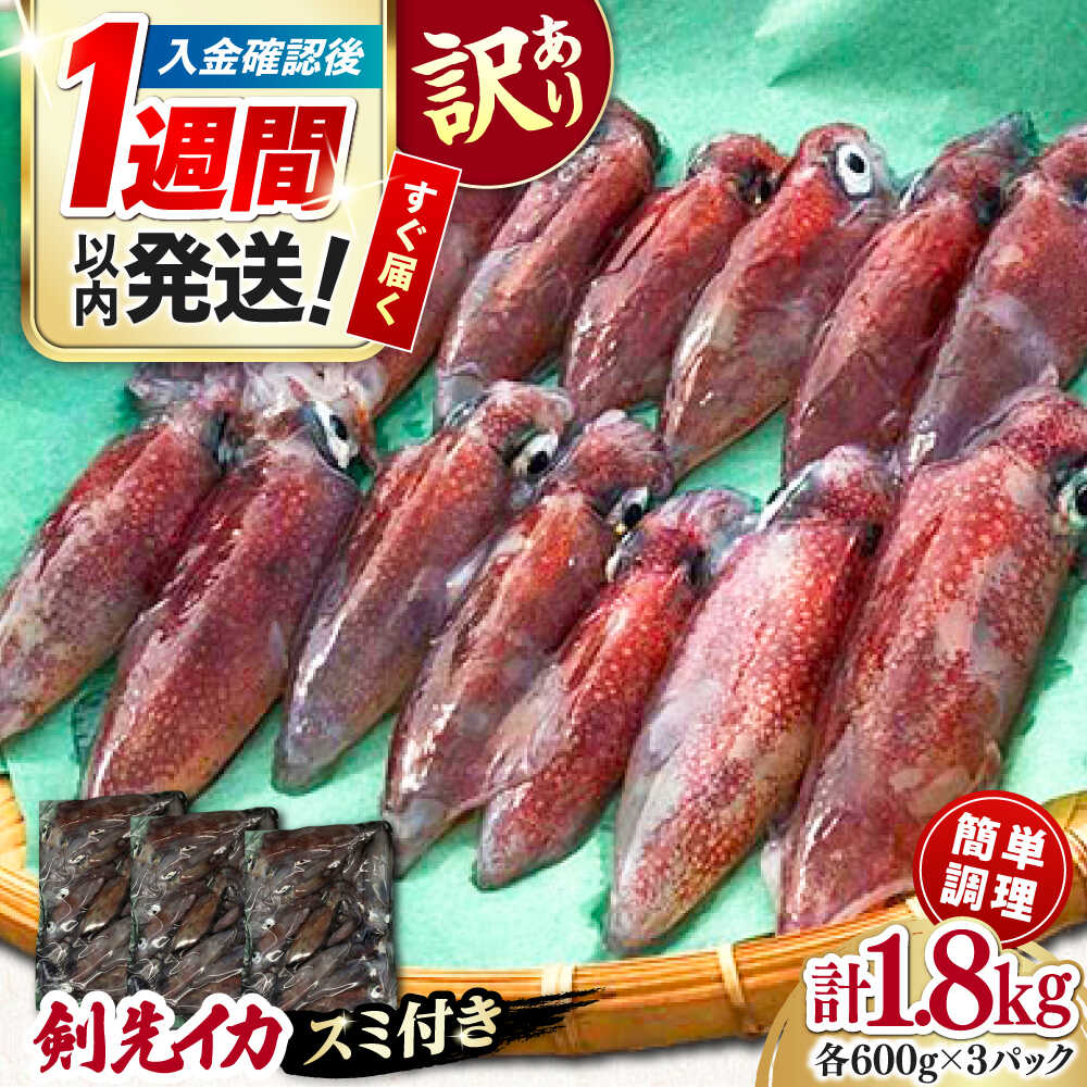【ふるさと納税】【1週間以内発送】おスミ付き！ 訳アリ 剣先イカ 1.8kg(3パック)≪対馬市≫【対馬地域商社】 冷凍配送 新鮮 いか 簡単調理 産地直送 小分け イカスミパスタ[WAC051] スピード発送 最速発送 最短発送