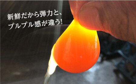 【ノンストレス卵】 平飼い 「しあわせたまご 」40個＜松本養鶏場＞ [CCD021] 生卵 たまご 鶏卵 卵 卵ギフト 卵 たまご 卵セット 卵焼き 卵かけご飯 ゆで卵 卵とじ 生卵 鶏卵 卵黄 卵