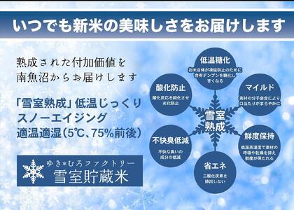 【令和７年産新米予約】【定期便2kg×6回】雪室貯蔵米 南魚沼塩沢産コシヒカリ　【2025年10月下旬より順次発送予定】