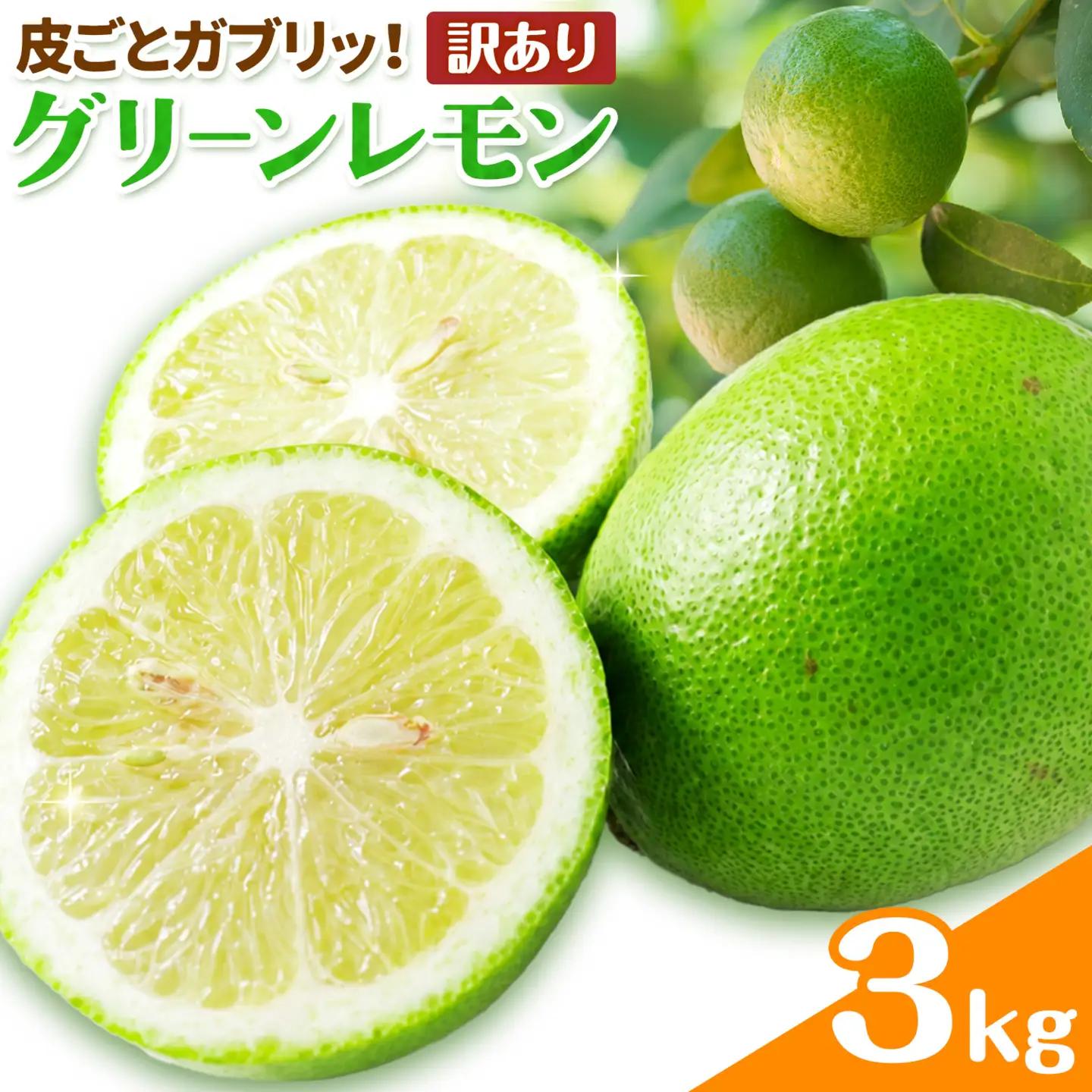 グリーン レモン 訳あり 3kg 三ツ山レモンファーム 檸檬