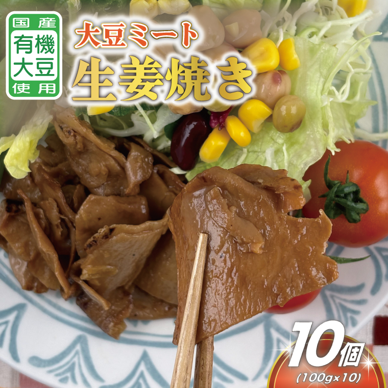 国産有機大豆ミート生姜焼き 約100g×10p｜生姜焼き 大豆ミート 大豆 国産 手作り 植物原料 茨城県 行方市(HK-4)