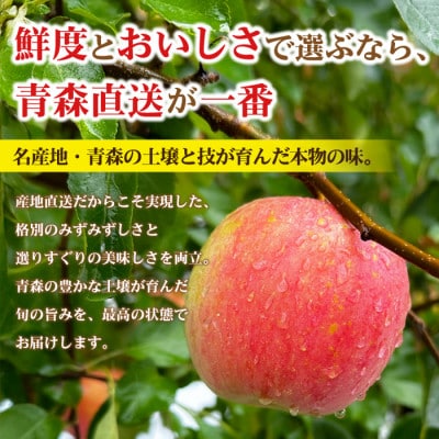 【先行受付】青森県産りんご 平均糖度13度以上! 有袋ふじ 約5kg おもてなし用【配送不可地域：離島・沖縄県】
