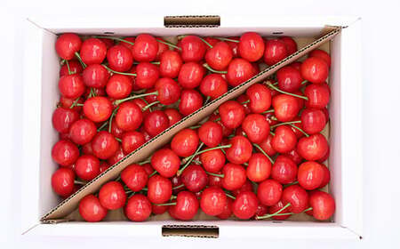 【令和7年産先行予約】 さくらんぼ 「佐藤錦または紅秀峰」 約1kg (秀 L以上) バラ詰め 《令和7年6月上旬～発送》 『南陽中央青果市場』 サクランボ 果物 フルーツ 山形県 南陽市 [1204