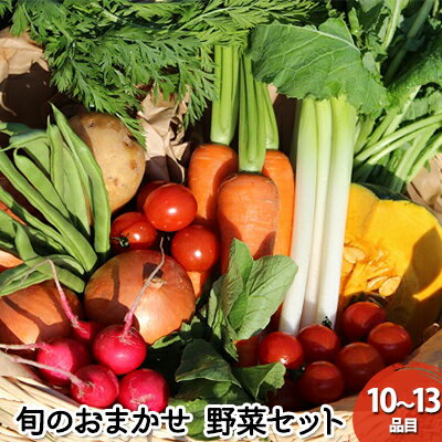 【ふるさと納税】野菜 セット 詰め合わせ GP 元氣パワー 株式会社 元氣パートナーズ　 食品 やさい 無農薬