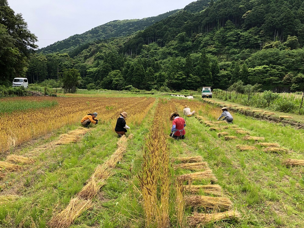 厳選国産素材の全粒粉マフィン（６種おまかせセット）アレルギー対応 有機栽培小麦使用 季節のおまかせ 焼き菓子 洋菓子 お菓子 スイーツ おやつ 朝食 常温 配送【R00277】