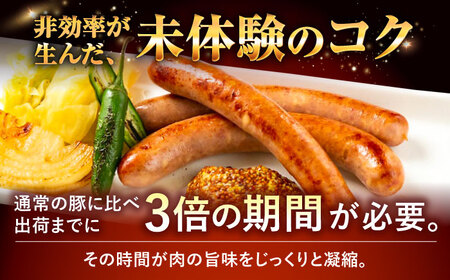 ステーキ ソーセージ 『NUCHIBUTA Bセット』 豚肉 ポークステーキ ソーセージ 詰め合わせ  BCAR004 豚肉