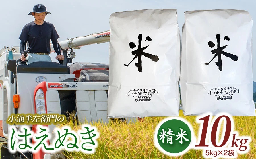 数量限定 【令和7年産】 山形県庄内産 小池半左衛門のお米 はえぬき 精米 10kg (5kg×2袋)