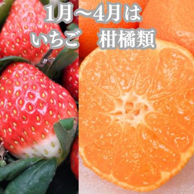 ふるさと納税 坂出市 【発送月固定定期便】旬の果物詰め合わせ全10回 |  | 01