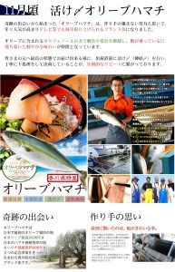 【定期便】瀬戸内海鮮「旬」お届けセット（1年で6回のお届けとなります）【G-1】