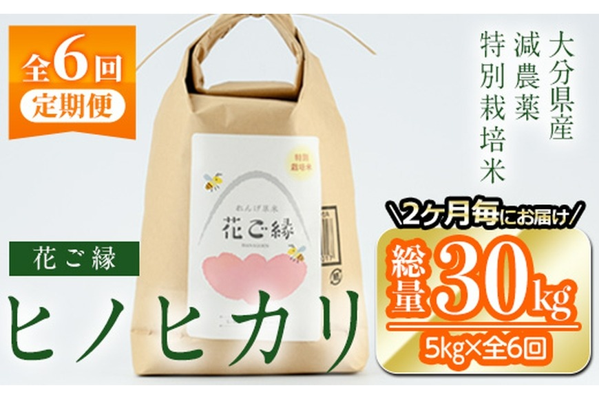 ＜先行予約受付中！2026年11月より発送開始予定＞＜定期便・全6回 (奇数月発送)＞減農薬特別栽培米 はなご縁 (総量30kg・5kg×6回)米 定期便 ６回 隔月 ひのひかり ヒノヒカリ 精米 白米 数量限定 大分県産【HD174】【さいき本舗 城下堂】