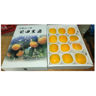 
            和歌山県産(刀根早生)贈答用3kg【1522422】
          