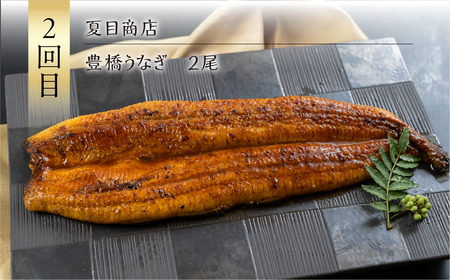 厳選 グルメ 定期便 全3回 お好み焼き ソーセージ うなぎ てづくり 豚肉 豚玉 シャルキュトリー 豊橋うなぎ 国産 鰻 定期 3回 お楽しみ 人気  ふるさと納税 愛知県 豊橋市 送料無料