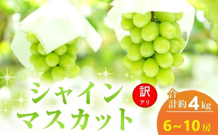 訳あり ぶどう シャインマスカット 6～10房 合計約4kg 岡山県 高梁市産 2026年 先行予約 常温 フルーツ 葡萄 ブドウ 産地直送 大粒 爽やか 食べやすい