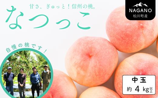 KM08-26A 【先行予約】 桃 なつっこ 中玉 約4kg以上（12～16玉）贈答 ／2026年8月上旬～8月中旬頃 発送予定｜長野県 南信州 松川町産 モモ もも  贈答 産地直送 新鮮 中玉 選べるサイズ KM