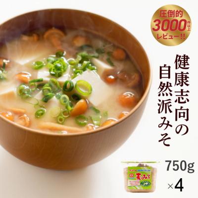 ふるさと納税 愛南町 麦 みそ 750g × 4 パック 甘口 無添加 生 仕込み 味噌 減塩 食物繊維 麹 マルマサ醤油