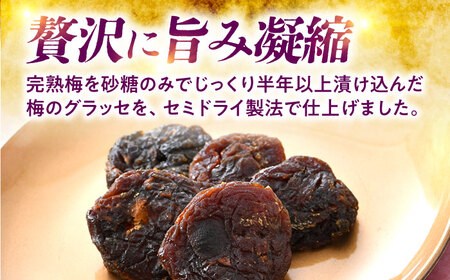 うめグラッセ セミドライ 16粒入 紅映梅使用 / 梅 ウメ 甘酸っぱい 梅スイーツ 小浜市 / アップ・トゥ・ユウ[BFAU006]